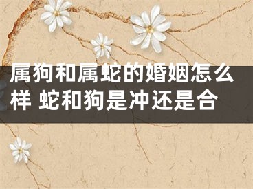 属狗和属蛇的婚姻怎么样 蛇和狗是冲还是合