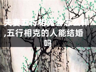 夫妻五行相克会怎么样,五行相克的人能结婚吗