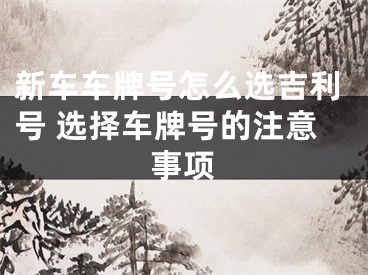 新车车牌号怎么选吉利号 选择车牌号的注意事项