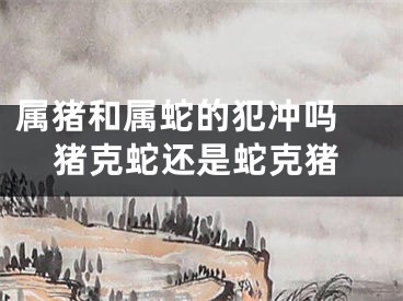 属猪和属蛇的犯冲吗 猪克蛇还是蛇克猪