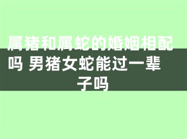 属猪和属蛇的婚姻相配吗 男猪女蛇能过一辈子吗