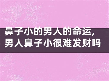 鼻子小的男人的命运,男人鼻子小很难发财吗