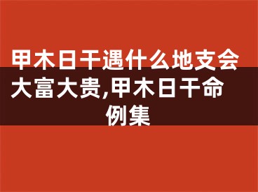 甲木日干遇什么地支会大富大贵,甲木日干命例集