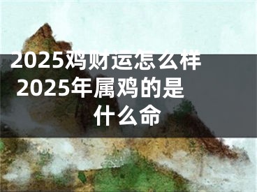 2025鸡财运怎么样 2025年属鸡的是什么命