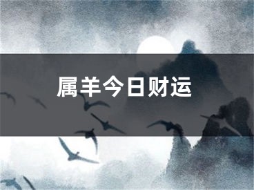 属羊今日财运