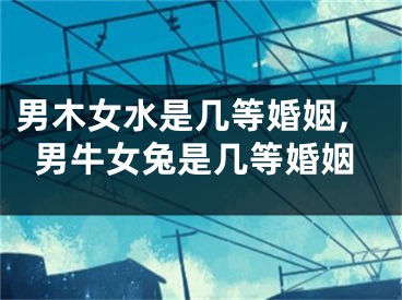 男木女水是几等婚姻,男牛女兔是几等婚姻
