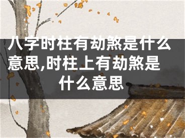 八字时柱有劫煞是什么意思,时柱上有劫煞是什么意思