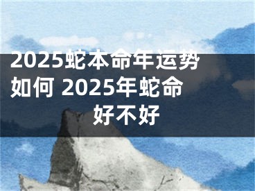 2025蛇本命年运势如何 2025年蛇命好不好
