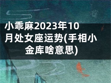 小乖麻2023年10月处女座运势(手相小金库啥意思)