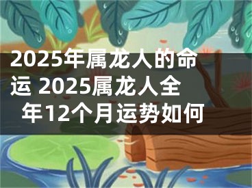2025年属龙人的命运 2025属龙人全年12个月运势如何