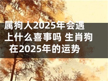 属狗人2025年会遇上什么喜事吗 生肖狗在2025年的运势