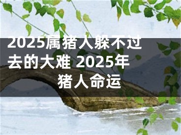 2025属猪人躲不过去的大难 2025年猪人命运