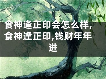 食神逢正印会怎么样,食神逢正印,钱财年年进