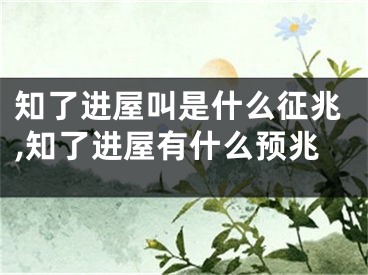 知了进屋叫是什么征兆,知了进屋有什么预兆