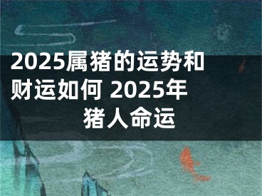 2025属猪的运势和财运如何 2025年猪人命运