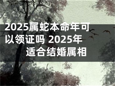 2025属蛇本命年可以领证吗 2025年适合结婚属相