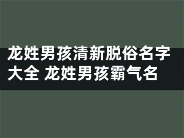 龙姓男孩清新脱俗名字大全 龙姓男孩霸气名