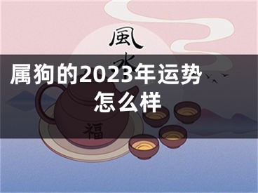 属狗的2023年运势怎么样