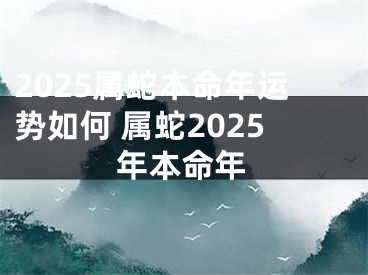 2025属蛇本命年运势如何 属蛇2025年本命年
