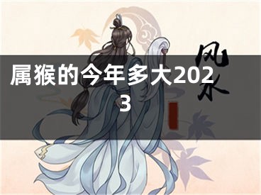 属猴的今年多大2023