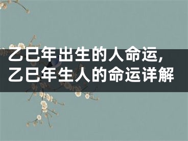 乙巳年出生的人命运,乙巳年生人的命运详解