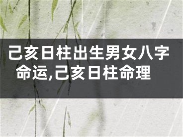 己亥日柱出生男女八字命运,己亥日柱命理