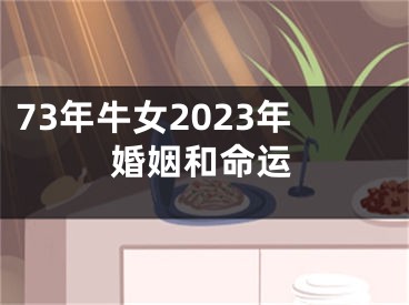 73年牛女2023年婚姻和命运