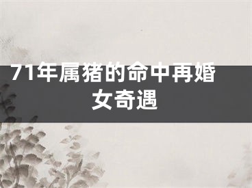 71年属猪的命中再婚女奇遇