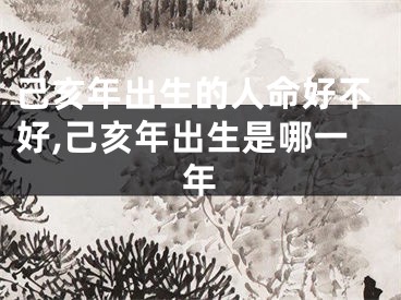 己亥年出生的人命好不好,己亥年出生是哪一年