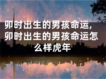 卯时出生的男孩命运,卯时出生的男孩命运怎么样虎年