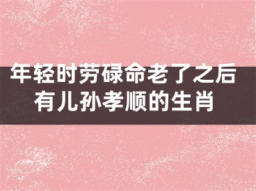 年轻时劳碌命老了之后有儿孙孝顺的生肖