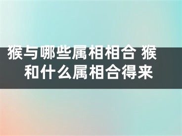 猴与哪些属相相合 猴和什么属相合得来