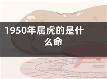 1950年属虎的是什么命