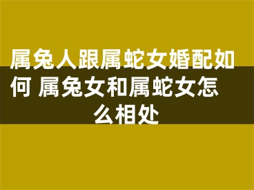 属兔人跟属蛇女婚配如何 属兔女和属蛇女怎么相处