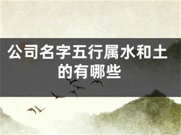 公司名字五行属水和土的有哪些