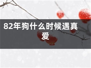 82年狗什么时候遇真爱