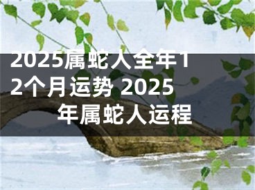 2025属蛇人全年12个月运势 2025年属蛇人运程