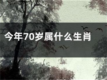 今年70岁属什么生肖