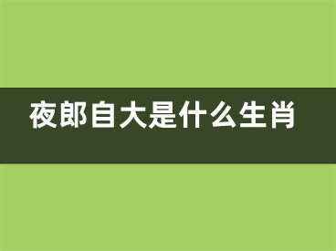 夜郎自大是什么生肖