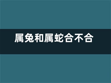 属兔和属蛇合不合