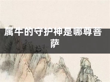 属牛的守护神是哪尊菩萨