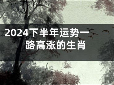 2024下半年运势一路高涨的生肖