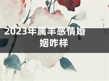 2023年属羊感情婚姻咋样