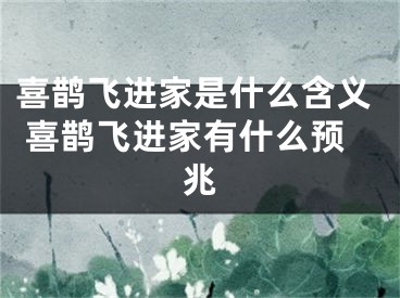 喜鹊飞进家是什么含义 喜鹊飞进家有什么预兆