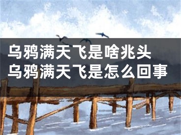 乌鸦满天飞是啥兆头 乌鸦满天飞是怎么回事