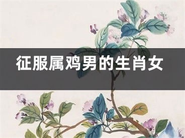 征服属鸡男的生肖女