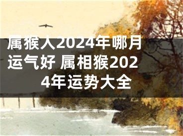 属猴人2024年哪月运气好 属相猴2024年运势大全