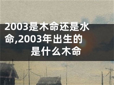 2003是木命还是水命,2003年出生的是什么木命