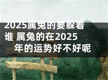 2025属兔的要躲着谁 属兔的在2025年的运势好不好呢