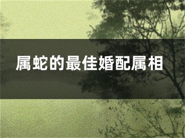 属蛇的最佳婚配属相